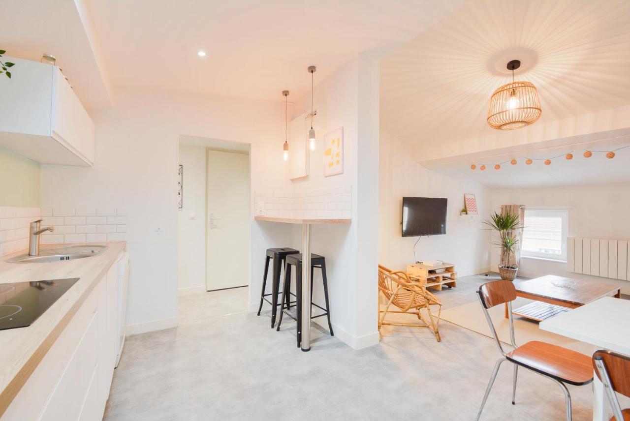 Le Toit De Poincare Apartment Nancy Exterior photo
